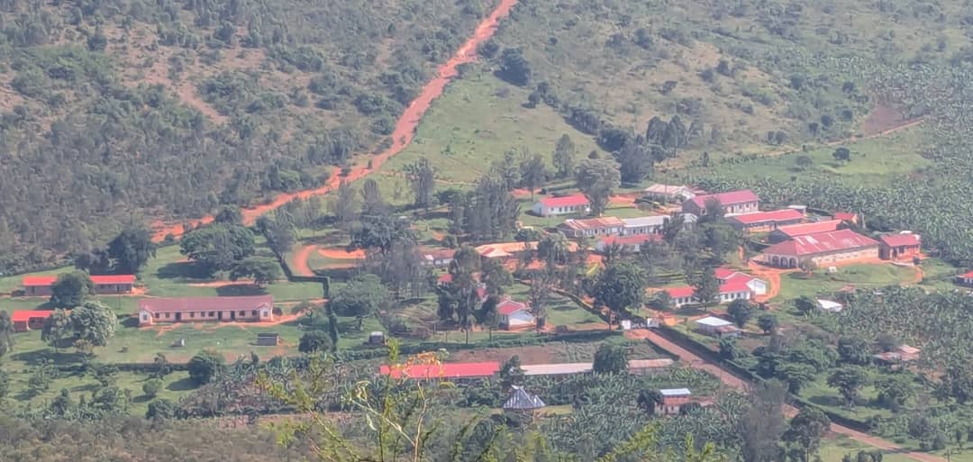 SCHOOL OVER VIEW 